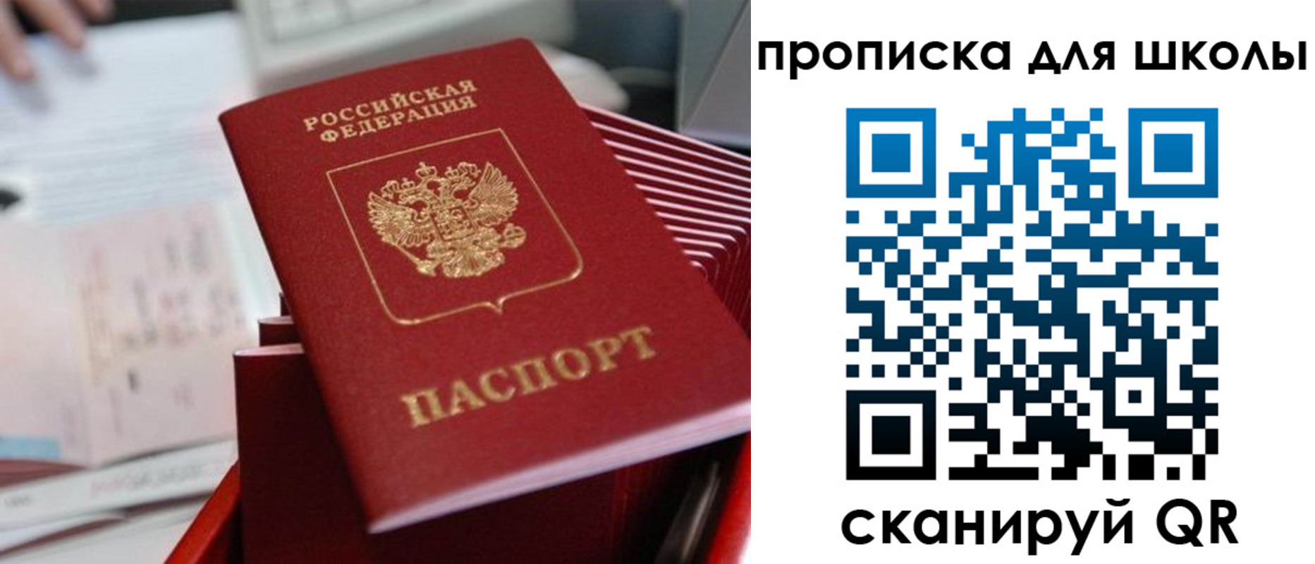 прописка для школы в Камчатском крае